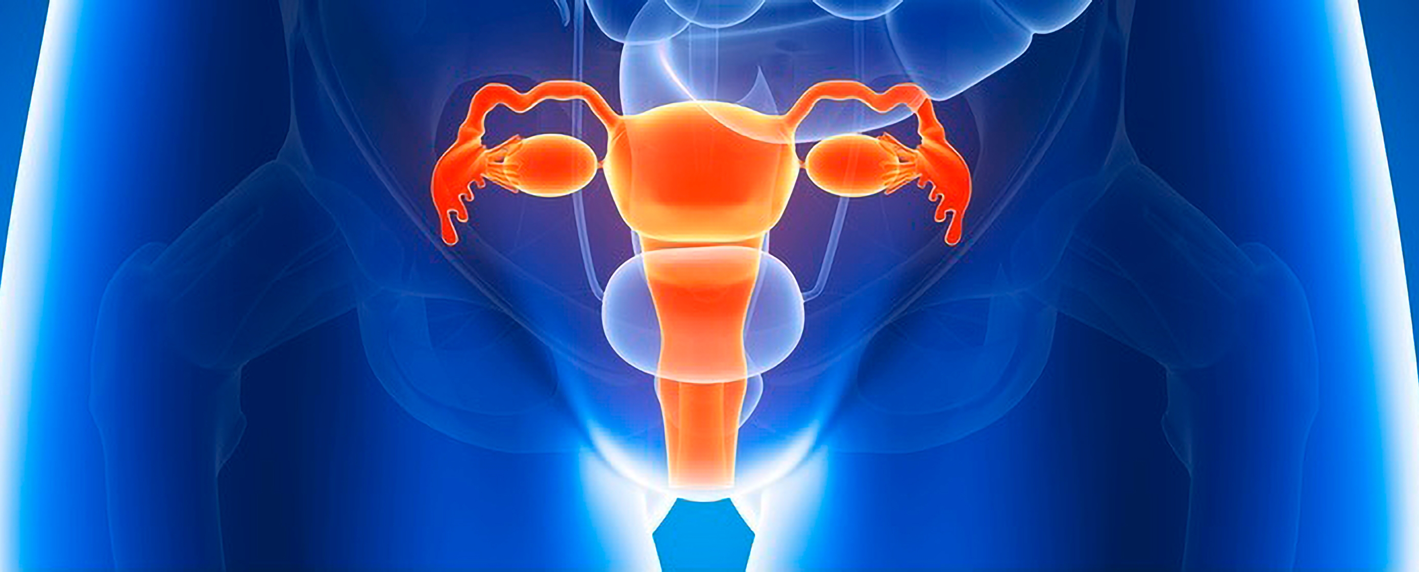 Fotolia_49610394_Krebszentrum