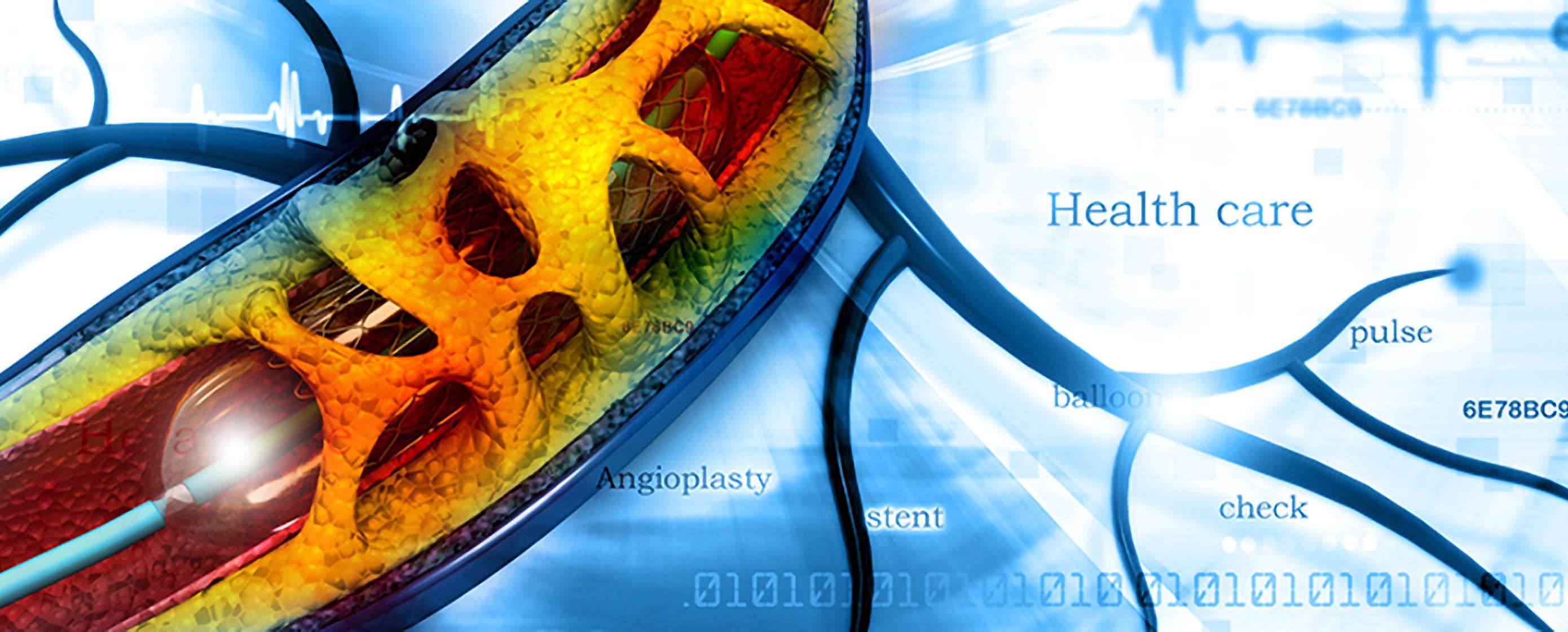 Fotolia_79072008_M_header2